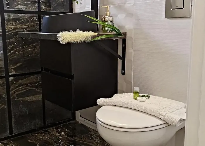 Aarbor Forest * 布拉索夫