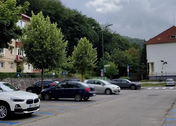 Aarbor Forest Apartment *