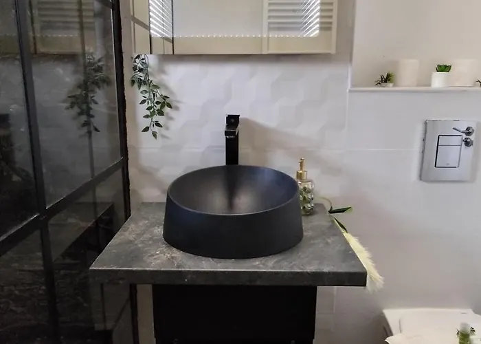 Aarbor Forest * Brasov